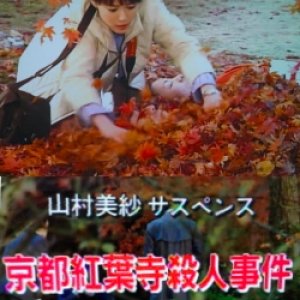 Yamamura Misa Suspense: The Kyoto Autumn Temple Murder Case (2002)