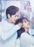 Fairyland Lovers chinese drama review