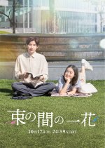Tsukanoma no Ichika Japanese Drama photo