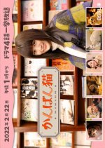 Kanban Neko Japanese Drama photo