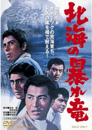 Hokkai no Abare Ryu (1966) poster
