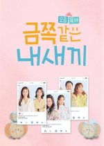 My Golden Kids Korean TV Program photo