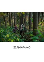 Working Horses in the Woodlands