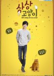 Imaginary Cat korean drama review
