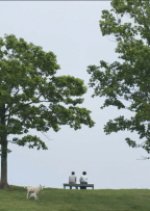 Archive 1st Love Korean Movie photo