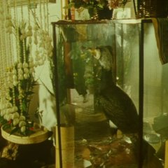 Gozu Japanese Movie photo