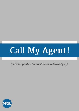 Call Me Agent () poster