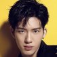Zhang Qi Ling