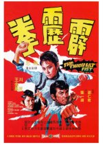 The Thunderbolt Fist Hong Kong Movie photo