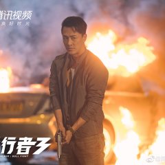 Line Walker: Bull Fight Hong Kong Drama photo