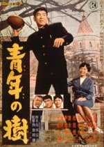 Seinen no Ki Japanese Movie(1977) photo