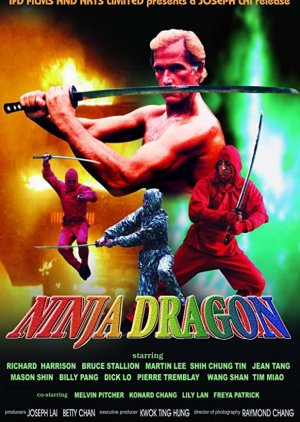 Ninja Dragon (1986) poster