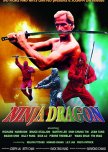 Ninja Dragon hong kong drama review