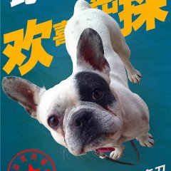 Happy Mitan Chinese Drama photo