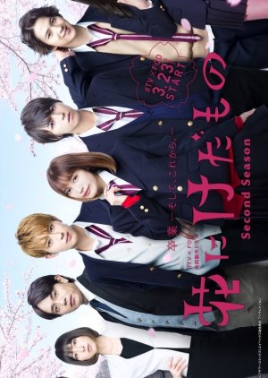Hana ni Keda Mono Season 2 (2019) poster