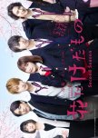 Hana ni Keda Mono Season 2 japanese drama review