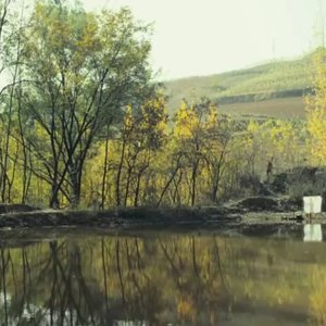 Yellow River Aria (2016)