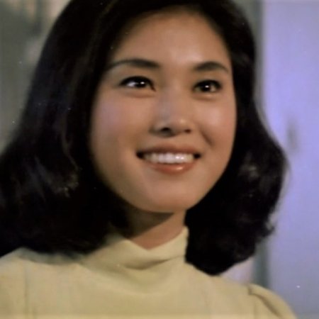 A Case of a College Girl Lee Nan-Hee of Special Investigation Center (1973)