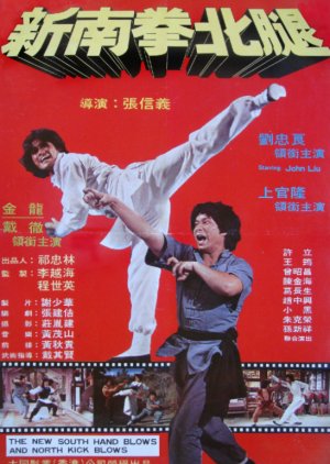The New South Hand Blows and North Kick Blows (1981) poster