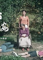 Dear Orange Taiwanese Movie photo