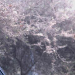 Mystery Pink Korean Movie photo