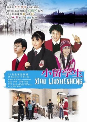 Student Abroad (2005) poster