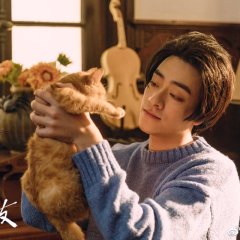 My Catmate Chinese Drama photo