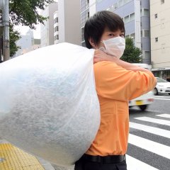 An Ant Strikes Back Japanese Movie photo