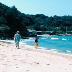 Backlight Japanese Movie photo