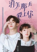 Disappearing Love Chinese Drama photo