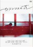 Kalanchoe japanese drama review