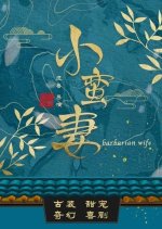 Barbarian Wife Chinese Drama photo
