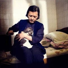 A Simple Life Hong Kong Movie photo