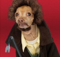 me:when I stay a day locked in my room watching drama :< how to become more sociable?: