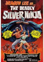 The Deadly Silver Ninja Hong Kong Movie photo