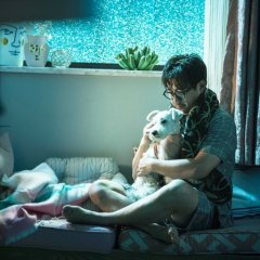 Push and Shove Chinese Movie photo