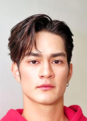 Taentawan Taddeo Majoli Maggioli