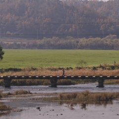 The Ripple Korean Movie photo