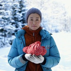 Shari Japanese Movie photo