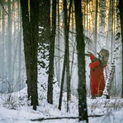 Anima Chinese Movie photo