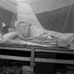 Sister J Korean Movie photo