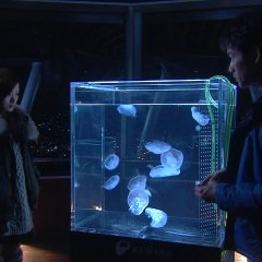 Shooting Star Japanese Drama photo