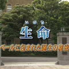 Totsugawa Keibu Series 40: Seimei ~Veil ni Tsutsuma Reta Tanjo no Himitsu~ Japanese Drama photo