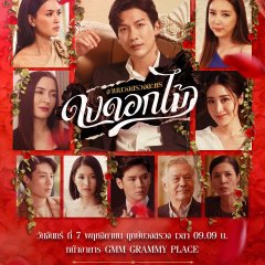 Desirable Flowers Thai Drama photo