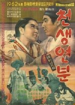 A Well Matched Couple Korean Movie photo