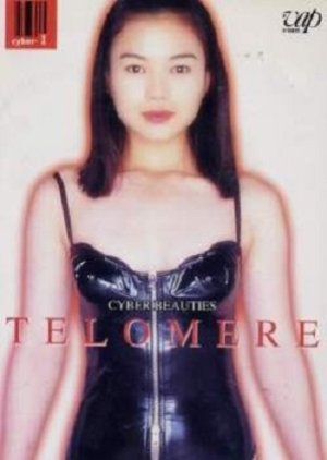 Cyber Beauties Telomere (1998) poster