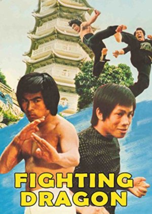 Fighting Dragon (1975) poster