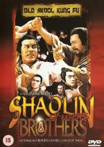 Shaolin Brothers Hong Kong Movie photo