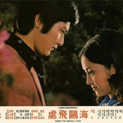 Where the Seagull Flies Taiwanese Movie photo