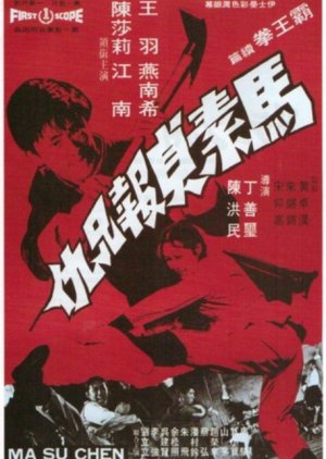 Bloody Struggle (1972) poster